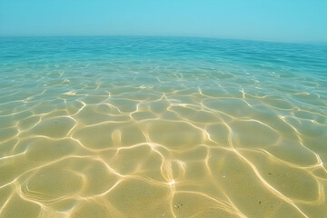 Wall Mural - clear water seabed illustration
