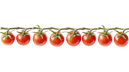 Wall Mural - Fresh, ripe tomatoes on a green stem, isolated on white background