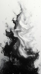 Wall Mural - Dramatic display of black and white powder erupting in an abstract pattern embodying modern art principles with fluid shapes and sharp contrasts ideal for a stylish graphic design wallpaper