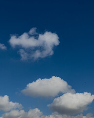 Wall Mural - blue sky with clouds