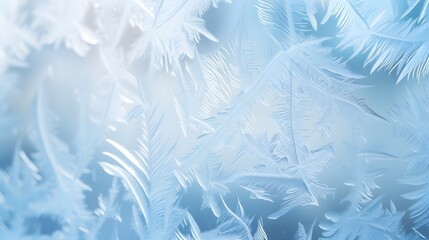 Wall Mural - Mesmerizing close up of intricate frost patterns adorning the surface of a windowpane creating a serene and ethereal winter wonderland scene  The delicate crystalline designs glisten and sparkle