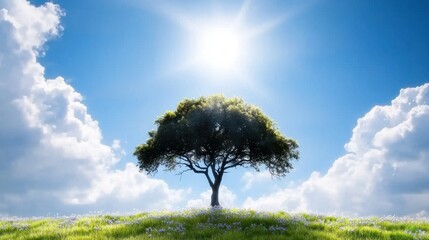 Wall Mural - A lone tree in the middle of a grassy field