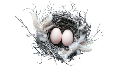 Fresh eggs in a nest with straw and wicker basket