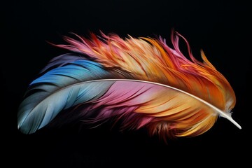 Poster - Single vibrant feather with gradient colors isolated on black background, representing lightness, softness, and vibrant colors
