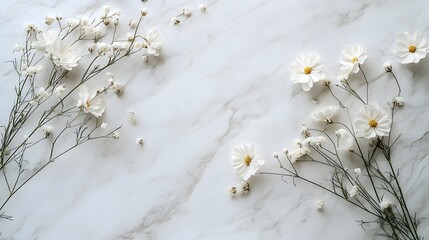Fototapete - Artistic flat lay of dry white flowers scattered on a pristine white marble surface highlighting the contrast between the textured marble and the soft petals with ample empty space for creative use