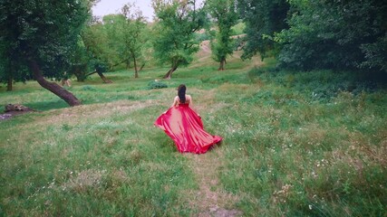 Wall Mural - shooting with drone in motion from air. Beauty Woman brunette woman in luxurious flying silk red dress with long waving train. girl princess runs through green nature, fabric flutters. back rear view