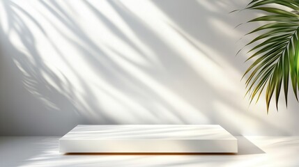 Poster - This minimalist image captures a white platform enveloped by intricate light and shadow patterns, resonating tranquility and an artistic ambiance in a contemporary setting.