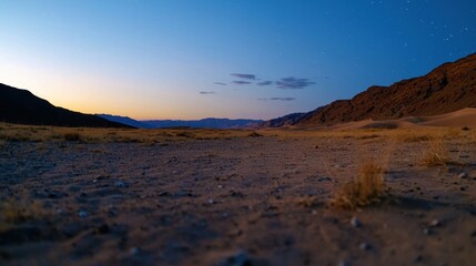 Wall Mural - A desert landscape with a sky full of stars