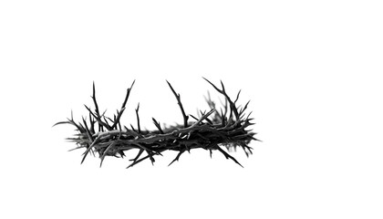 Wall Mural - Black and White Crown of Thorns Religious Image Faith god art holy dark jesus cross light stock     