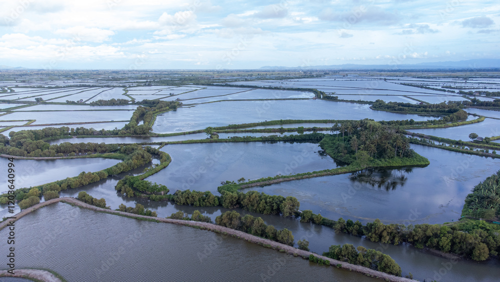 Portrait of the community's pond area near the beach. January 18 2025 ...