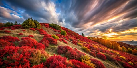 Wall Mural - Long Exposure: Hillside ablaze with red autumn bushes