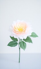 Wall Mural - Single peach paper rose with green leaves on white background.