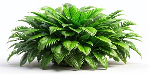 Wall Mural - Lush 3D Rendered Plant, Isolated on White Background - Vibrant Green Foliage