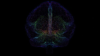 Poster - Abstract Digital Brain Wireframe with Multicolor Gradient
