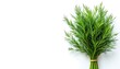 © Muhammad - Fresh Dill Bunch Isolated on White Background