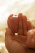 © Tuan - a close up of a person holding a baby's hand