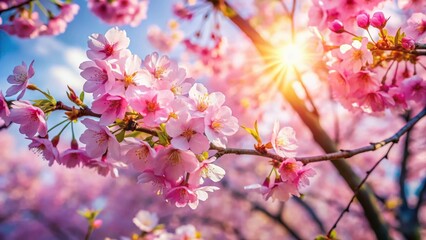 Wall Mural - Pink Cherry Blossom Tree in Full Bloom, Spring Nature Background