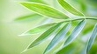 © PB Studio - of bamboo leaves with soft lighting, highlighting their graceful and simple elegance in Asian-themed arrangements Bamboo leaves