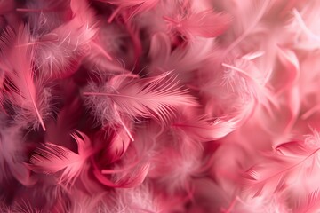 Poster - Soft pink feathers creating a delicate and airy background, ideal for romantic or feminine themes