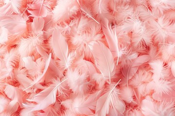 Poster - light pink feathers forming a delicate and fluffy texture, perfect for romantic or feminine themes