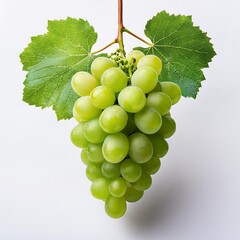 Wall Mural - bunch of grapes