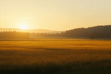 Poster - Golden sunrise over a tranquil meadow with distant hills and trees in the background. Generative AI