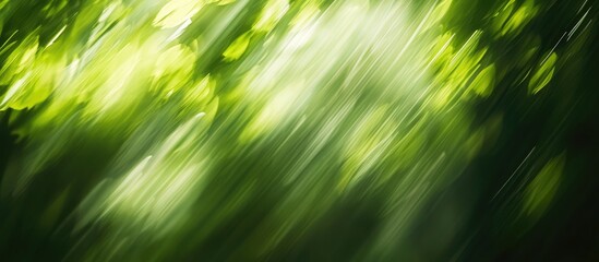 Poster - Abstract green nature background with blurred leaves and soft light effects creating a dynamic visual pattern Copy Space