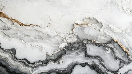 Fototapete - Black and white marble texture with gold accents natural stone design featuring wavy patterns and Copy Space for text insertion