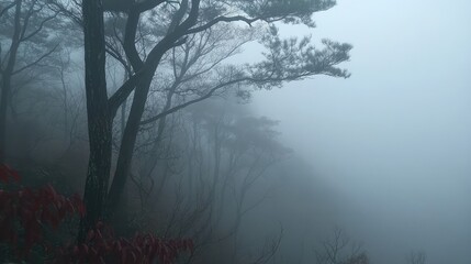 Poster - Misty forest landscape with tall trees and dense fog in a tranquil environment featuring muted color tones and natural scenery Copy Space
