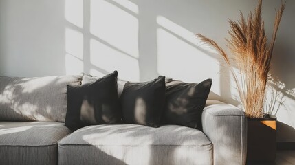 Poster - Modern living room interior with light gray sofa, black cushions and dried plants in a pot, featuring natural light and shadows, Copy Space.
