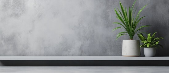 Poster - Modern interior with concrete wall, minimalist plants in pots and empty shelf space for text or graphics. Copy Space available.