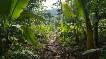 Poster - Lush tropical forest pathway surrounded by green foliage and banana plants with clear sky above and Copy Space available for text