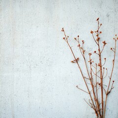 Poster - Organic textures and details in product showcase natural environment editorial minimalist view