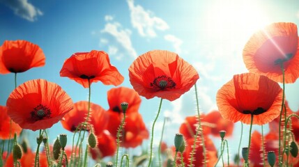 Poster - Vibrant fields of red poppy flowers under a bright sky on a sunny day in springtime. Generative AI
