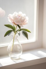 Poster - single peony in glass vase placed on bright windowsill with soft light creating gentle shadows