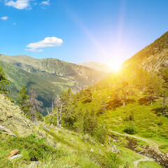 Wall Mural - Beautiful sunrise in mountain valley in Pyrenees.
