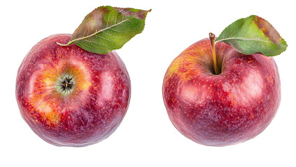 Sticker - apples isolated on white background PNG.AI GENERATED