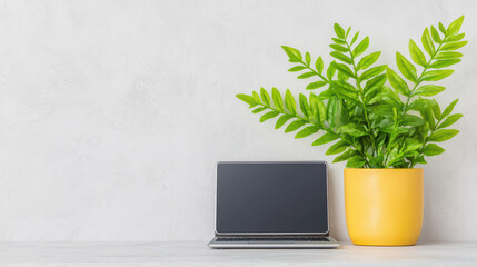 Poster - modern workspace with laptop and green plant