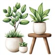 © Manchuporn - Collection set watercolor, stylish home office plants and décor that inspire creativity and focus in remote workspaces