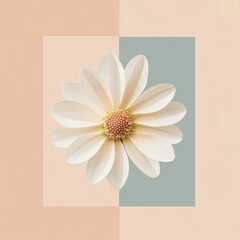 Poster - Delicate white flower displayed against soft pastel background showcasing minimalistic design and elegance. Generative AI