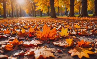 Poster - A large pile of orange leaves on the ground. The leaves are scattered all over the ground, creating a beautiful autumn scene