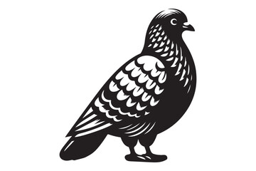 Pigeon Silhouette
