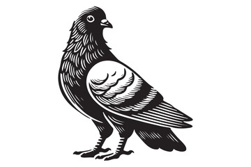pigeon silhouette
