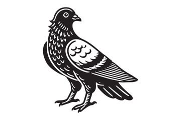 Pigeon Silhouette
