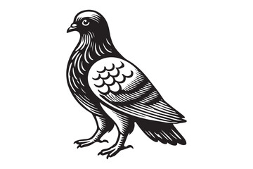 pigeon silhouette