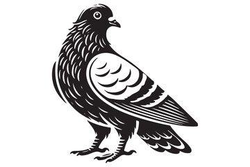 pigeon silhouette