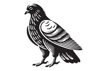 Pigeon Silhouette