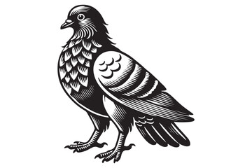 pigeon silhouette