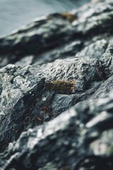 Poster - A close-up shot of a rock covered in lush green moss