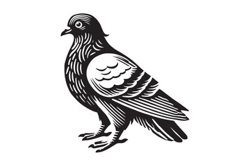 pigeon silhouette